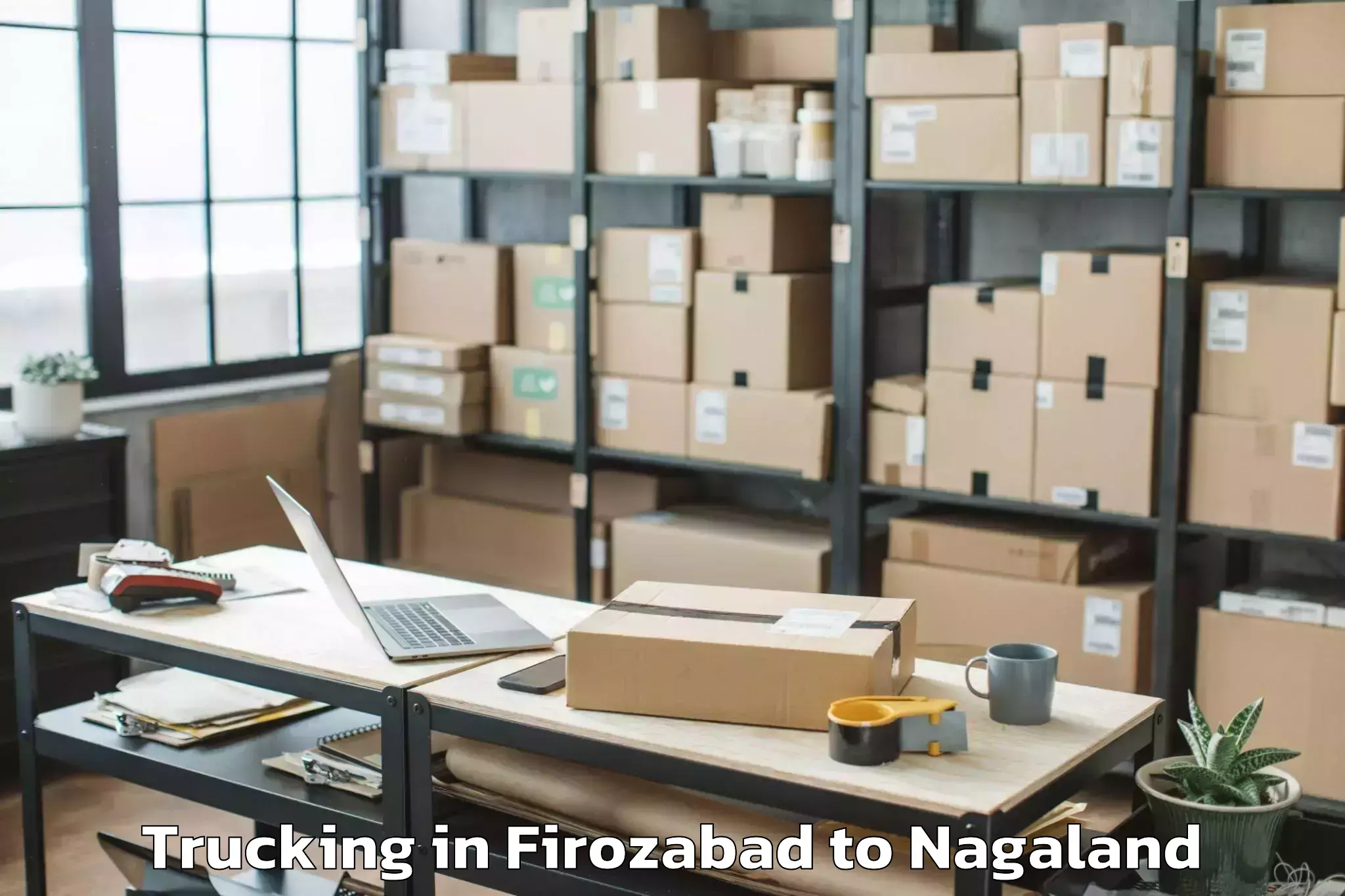 Book Your Firozabad to Akuluto Trucking Today